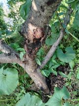 팜모닝 자유주제·자유게시판 게시글 이미지