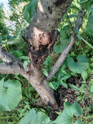 호박16023님의 자유주제 · 자유게시판 작성글 사진