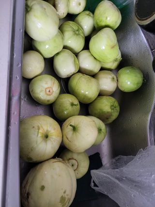 원빈님의 자유주제 · 자유게시판 작성글 사진