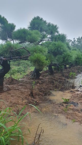 알 수 없음님의 자유주제 · 사진전 작성글 사진