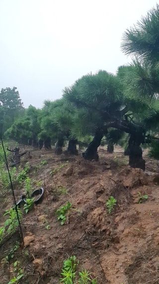 알 수 없음님의 자유주제 · 사진전 작성글 사진