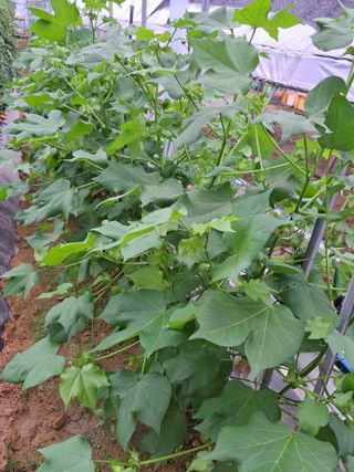 좋은인연원님의 자유주제 · 자유게시판 작성글 사진