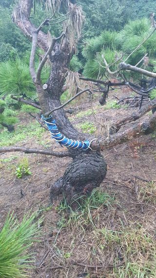 알 수 없음님의 자유주제 · 사진전 작성글 사진