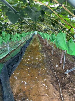 정우종님의 자유주제 · 자유게시판 작성글 사진