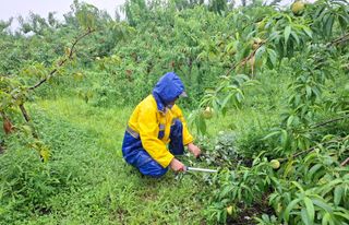 철남 김희곤님의 자유주제 · 자유게시판 작성글 사진