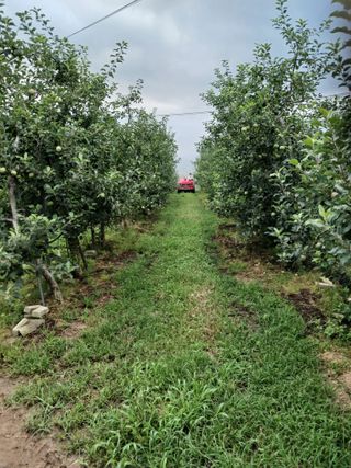 알 수 없음님의 자유주제 · 자유게시판 작성글 사진