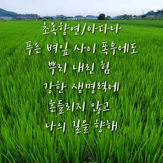 행복농장아다나님의 자유주제 · 자유게시판 작성글 사진