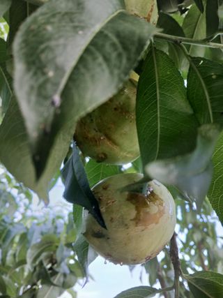 호박16023님의 자유주제 · 자유게시판 작성글 사진