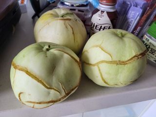 원빈님의 자유주제 · 자유게시판 작성글 사진