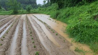 표고버섯14221님의 자유주제 · 자유게시판 작성글 사진