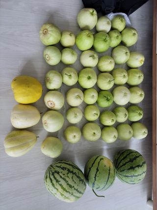 원빈님의 자유주제 · 자유게시판 작성글 사진