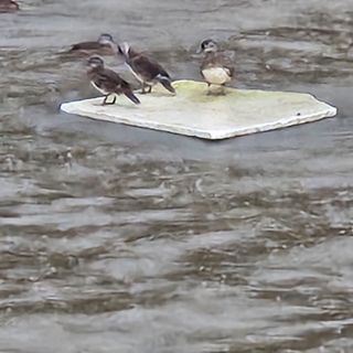 고추13184님의 자유주제 · 자유게시판 작성글 사진