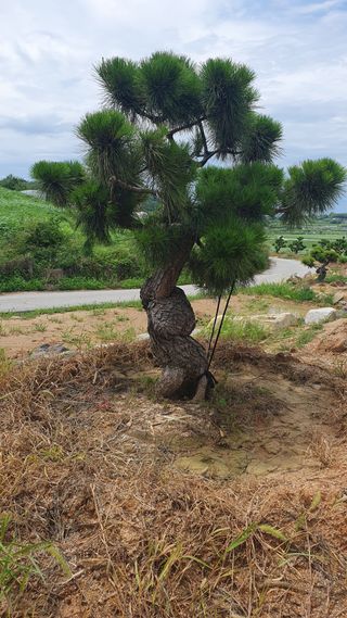 알 수 없음님의 자유주제 · 사진전 작성글 사진