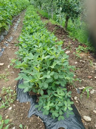 알 수 없음님의 자유주제 · 자유게시판 작성글 사진