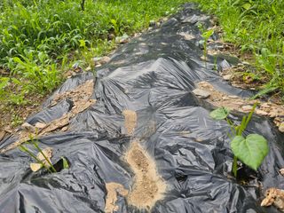 farmer님의 자유주제 · 자유게시판 작성글 사진