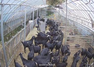 유광종님의 작성글 사진