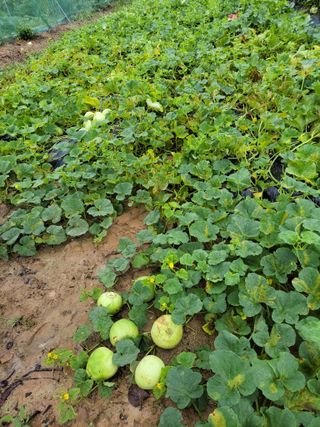 원빈님의 자유주제 · 자유게시판 작성글 사진