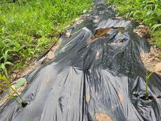 farmer님의 자유주제 · 자유게시판 작성글 사진