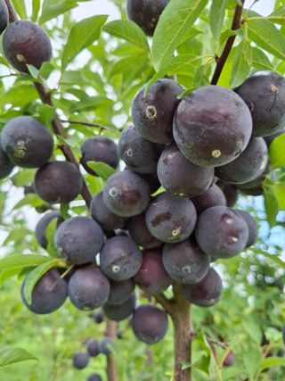 철남 김희곤님의 자유주제 · 자유게시판 작성글 사진