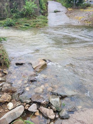 동길니우스님의 작성글 사진