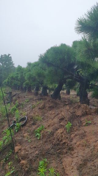 알 수 없음님의 자유주제 · 사진전 작성글 사진
