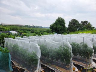 이석팔님의 자유주제 · 자유게시판 작성글 사진