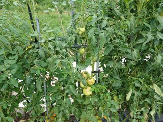 알 수 없음님의 자유주제 · 자유게시판 작성글 사진