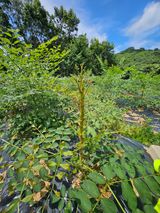 팜모닝 자유주제·자유게시판 게시글 이미지