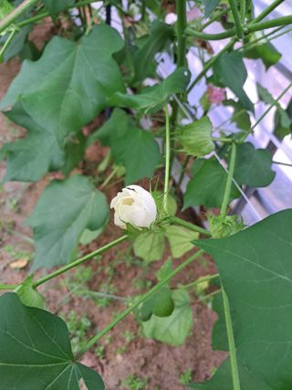 좋은인연원님의 자유주제 · 자유게시판 작성글 사진