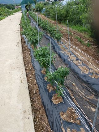 알 수 없음님의 자유주제 · 자유게시판 작성글 사진