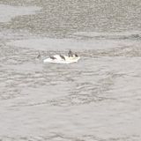 팜모닝 자유주제·자유게시판 게시글 이미지