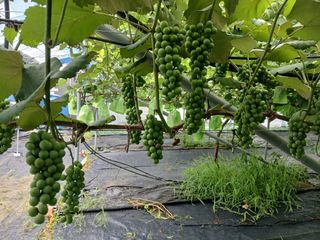 임마누엘님의 자유주제 · 자유게시판 작성글 사진