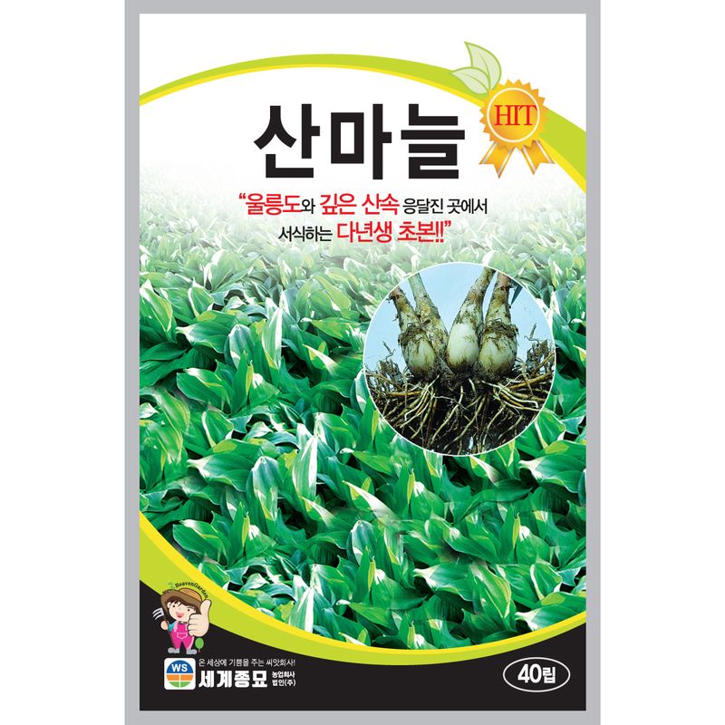 장터 상품 [[세계] 산마늘 40립 / 마늘 씨앗 ] 썸네일