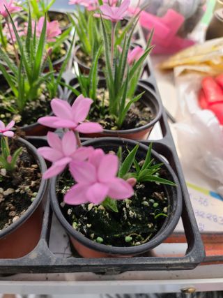 황석중님의 자유주제 · 칭찬해요 작성글 사진