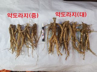 박현주님의 작성글 사진