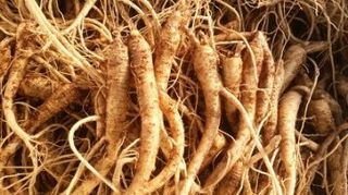 박현주님의 작성글 사진