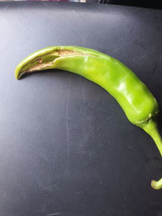 김동석 요아킴님의 자유주제 · 자유게시판 작성글 사진