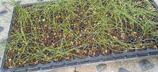 이강재님의 자유주제 · 자유게시판 작성글 사진