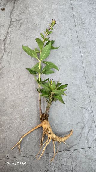 박현주님의 작성글 사진