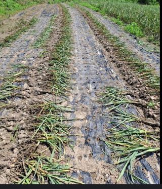 박동현님의 작성글 사진