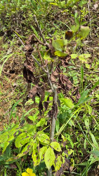 김진님의 자유주제 · 자유게시판 작성글 사진