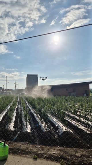 우리농원님의 자유주제 · 자유게시판 작성글 사진