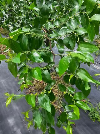 망운천지향토농원님의 자유주제 · 자유게시판 작성글 사진