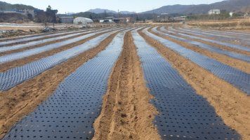 박현주님의 장터 판매 상품 [ㅂ[재민농장] 전남 화순 2년근 생도라지] 첨부 사진