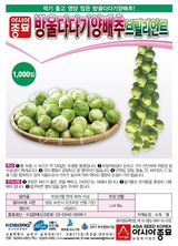 팜모닝 자유주제·자유게시판 게시글 이미지