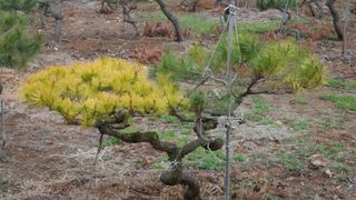 황석중님의 자유주제 · 칭찬해요 작성글 사진