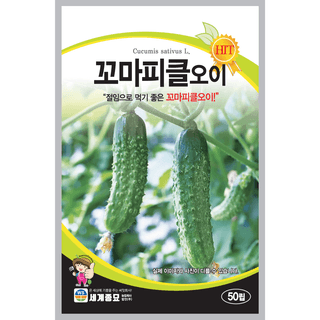 주주씨앗님의 작성글 사진