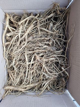 박현주님의 작성글 사진