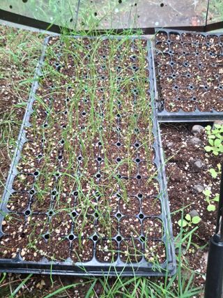 이강재님의 자유주제 · 자유게시판 작성글 사진