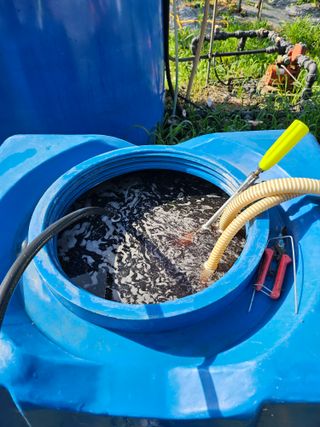 망운천지향토농원님의 자유주제 · 자유게시판 작성글 사진